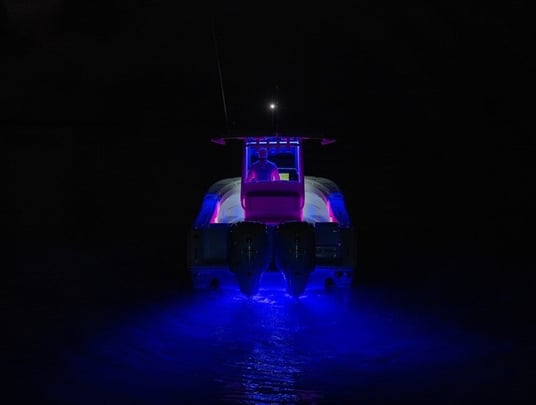 860 x 650 - X4 Blue - Sea Hunt 3